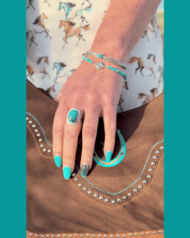 Horseshoe Fringe Western Bag