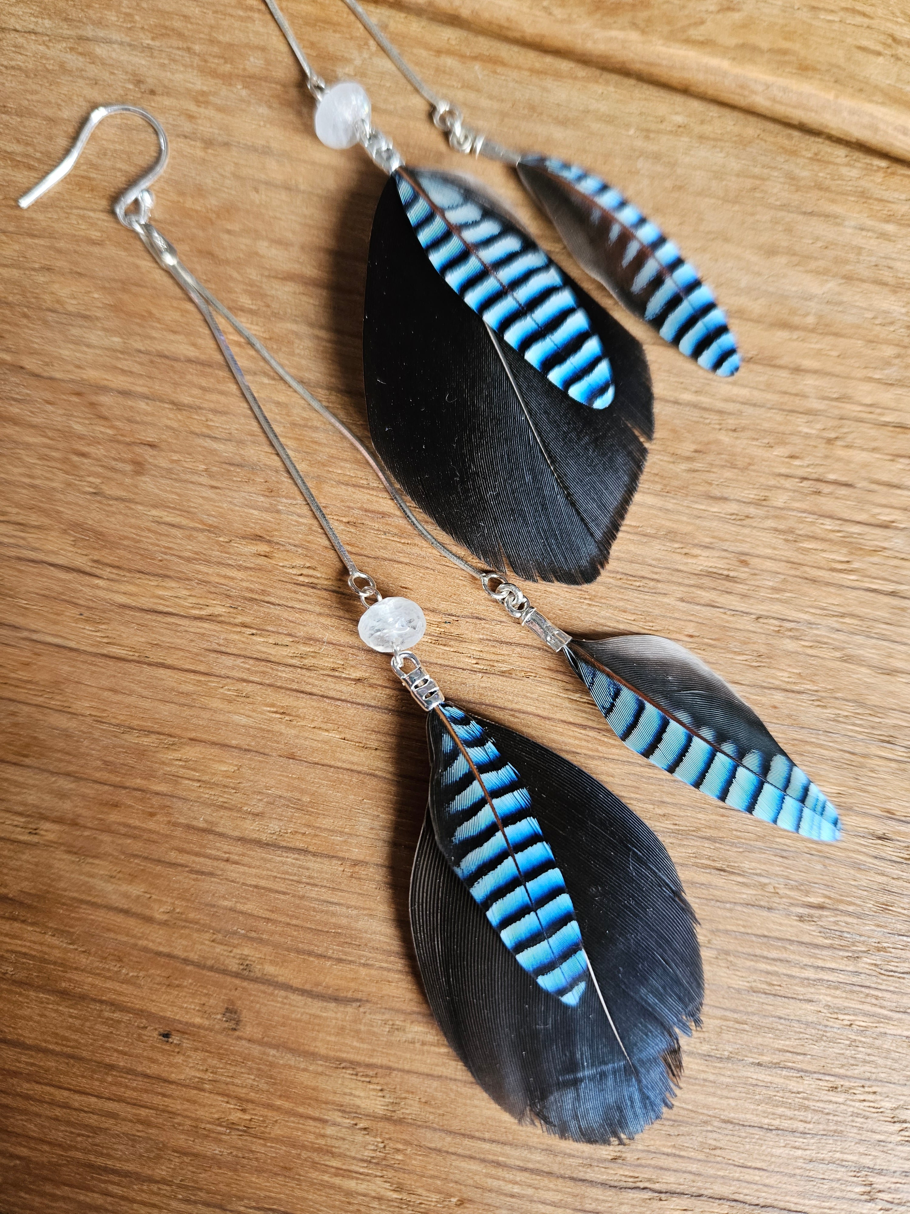 Jay Feather Moonstone Earrings