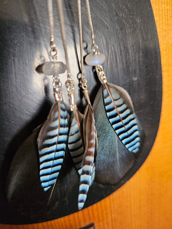 Jay Feather Moonstone Earrings
