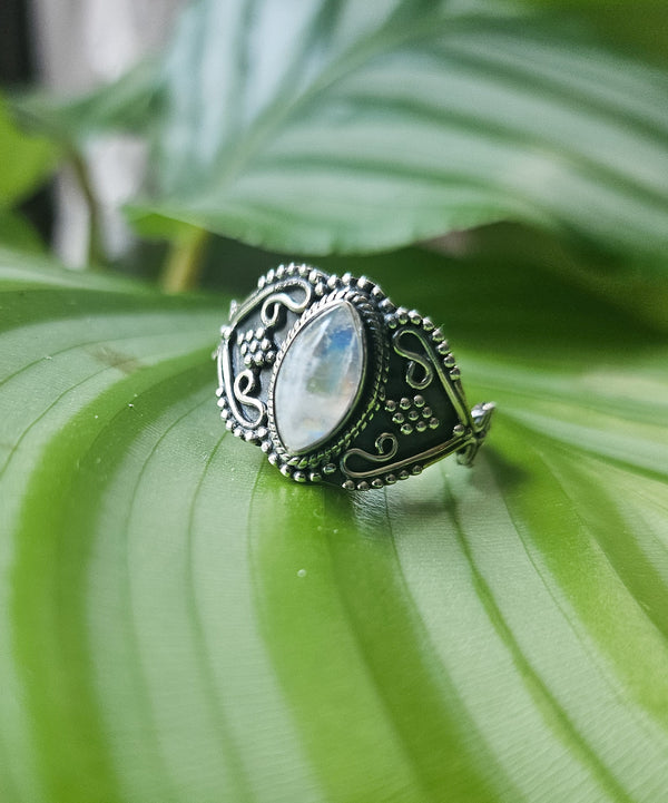 Moonstone Marquise Filigree Ring