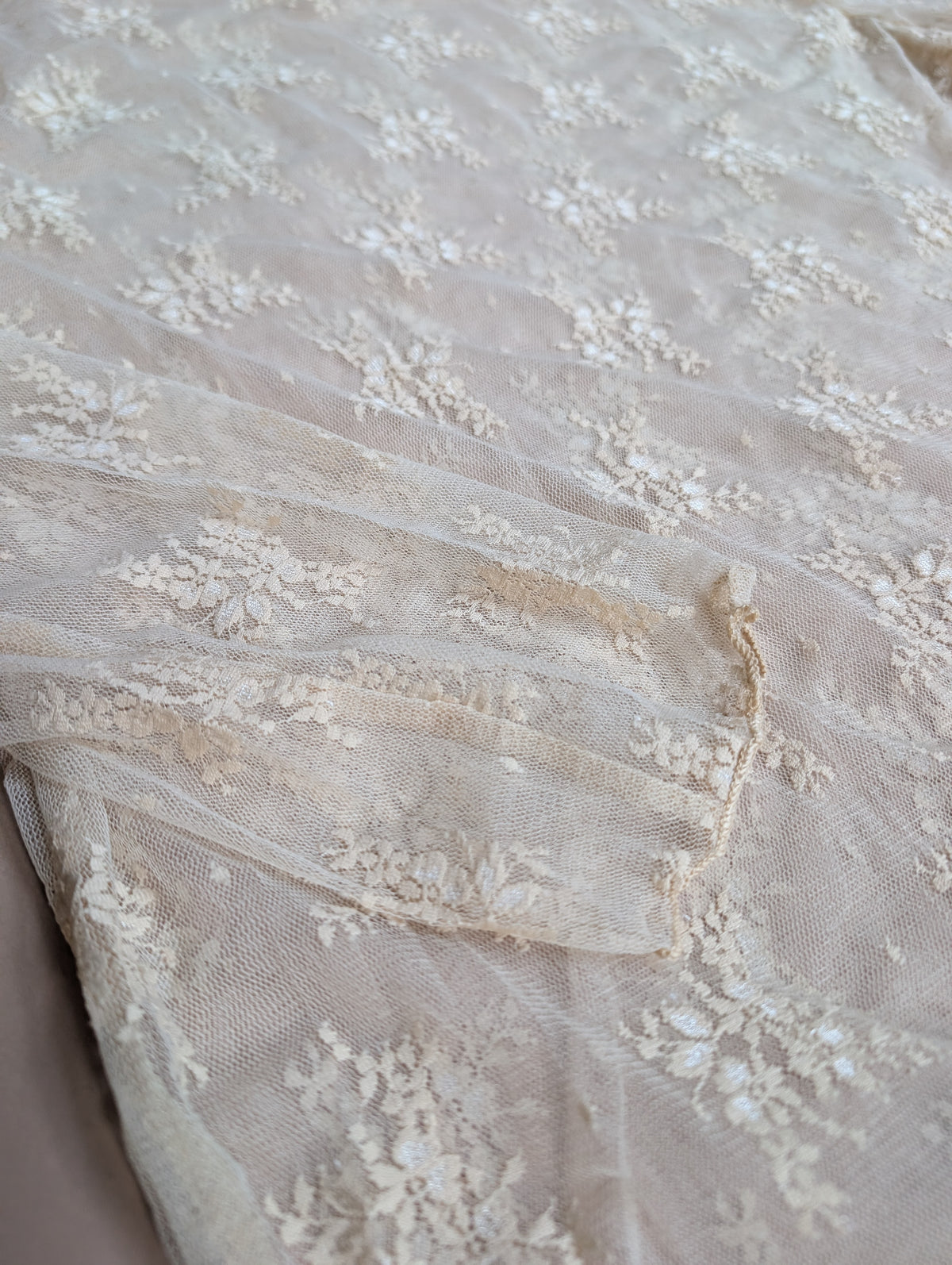 Cream Lace Top (Plus)